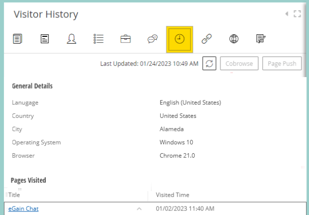 view visitor history